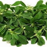 Orah trava: opis, svojstva i primjena