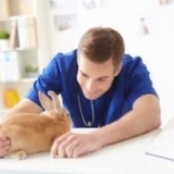 Glavne bolesti gastrointestinalnog trakta kod kunića su hemoragije,...