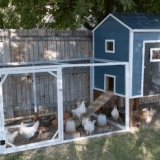 Osnovni zahtjevi za izgradnju kokošinjca, vrste materijala za izgradnju