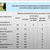 Glavne vrste pojilica za stoku