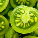 Pikantno predjelo od zelenog paradajza