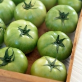 Pikantni kiseli zeleni paradajz za zimu