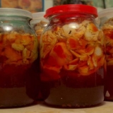 Šta muharica tretira alkoholom: ljekovita svojstva tinkture, recenz...