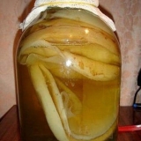 Odakle dolazi kombucha: kako se pojavila, gdje raste u prirodi