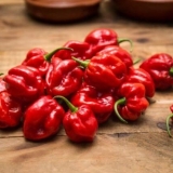 Ljuta paprika habanero: opis, fotografija, uzgoj kod kuće, koliko s...