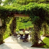 Pergole u pejzažnom dizajnu