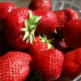 Zašto su jagode crvene, ali kisele?