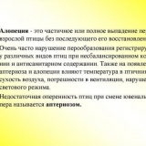 Zašto pilići ćelavi - tretman kokošaka nosilja kod kuće