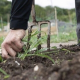 Kako se riješiti trave u okolini