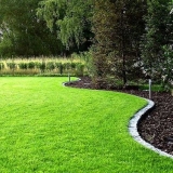 Zašto travnjak požuti i suši