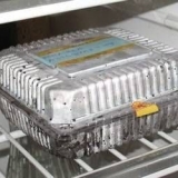 Priprema gladiola za sadnju u proleće