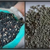 Šta staviti u rupu prilikom sadnje krastavaca