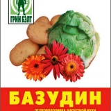 Priprema plastenika u proljeće za sadnju paradajza