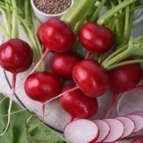 Prihrana rotkvica: u stakleniku, na otvorenom polju