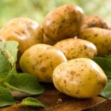 Detaljan opis i karakteristike sorte krompira tuleevsky