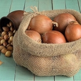 Detaljan opis i karakteristike sorti luka hercules