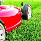 Košnja travnjaka: opis, pravila i propisi