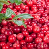 Korisna svojstva brusnice