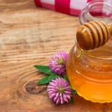 Korisna svojstva i kontraindikacije meda od djeteline