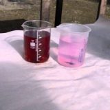 Zalijevanje jagoda kalijum permanganatom: u proljeće, tokom cvatnje, u jesen