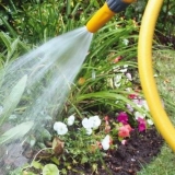 Zalijevanje iz grupe irigatora