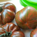 Amur tigar paradajz: opis sorte, fotografije, recenzije