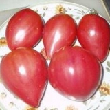 Tomatoes pink spam: recenzije sa fotografijama