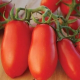 Sibirski paradajz grožđa: opis sorte, fotografije, recenzije