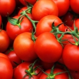 Paradajz hurricane f1: opis, fotografija, recenzije vrtlara