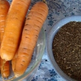 Popularne sorte šargarepe