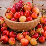 Kasne sorte trešnje