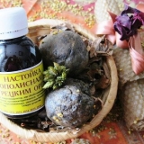 Upotreba tinkture propolisa kod kuće