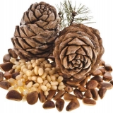 Nanošenje tinkture ljuske pinjola na votku, alkohol