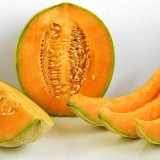 Kalemljenje dinje na bundevu