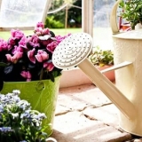 Jednostavni recepti: improvizirana sredstva s kojima možete hraniti...