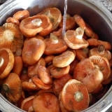 Jednostavni recepti za soljenje talasa