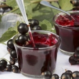 Jednostavni recepti za žele od crne ribizle kod kuće