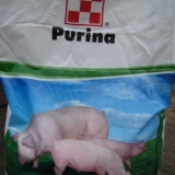 Purine za svinje i prasad
