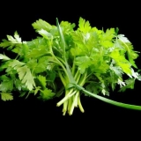 Sadnice peršina: uzgoj kod kuće, detaljna uputstva, fotografije