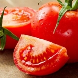 Rasad paradajza bez zemlje