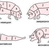 Rezanje svinjskog trupa sa opisom dijelova