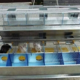 Dimenzije kaveza za zečje mreže + crteži