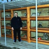 Dimenzije industrijskih kaveza za kuniće