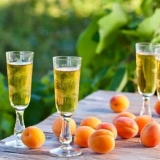 Recept za čaču od kajsije