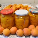 Recepti za kajsije u sopstvenom soku