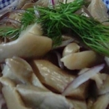 Recepti za bukovače za zimu