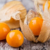 Recepti za kiseli fizalis