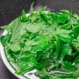 Recepti za berbu koprive za zimu