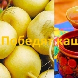 Repa sa medom protiv kašlja za djecu i odrasle: kako kuhati, kako u...