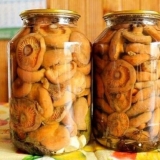 Ryzhiki u vlastitom soku: recepti za zimnicu